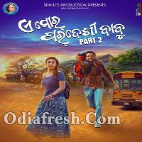 Paradesi babu odia discount song